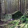 Нелегальний завод: розкрили призначення загадкових будівель у лісі Шотландії