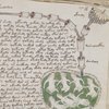 Британський вчений розшифрував легендарний манускрипт Войнича  