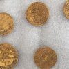 У Чехії знайшли скарб з золотими дукатами і цехінами