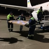 В Україну з Німеччини прибула грамота Петра І