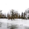 А за вікном - майже весна: Луцький зоопарк під снігом. Фото