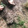 В Івано-Франківській області археологи відшукали каміння з зображенням тризубів