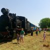 На Закарпатті відновлять унікальну ретро-залізницю 1908 року